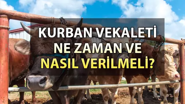 Kurban vekaleti nasıl verilir